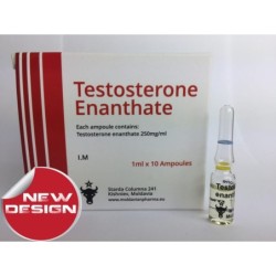 Testosterone Enanthate 250 (10 amps)